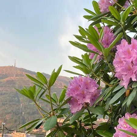 Ana's Pansiyon Bergen